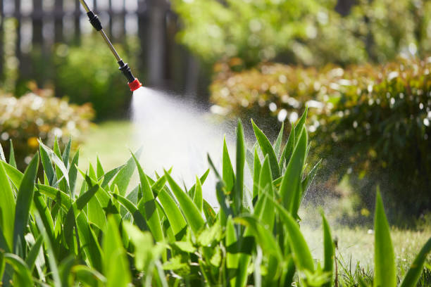24/7 Emergency Mosquito Control experts in Rialto, CA