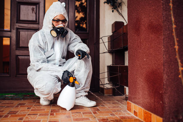 Reliable Mosquito Control contractor in Rialto, CA by Show Me Pest Control